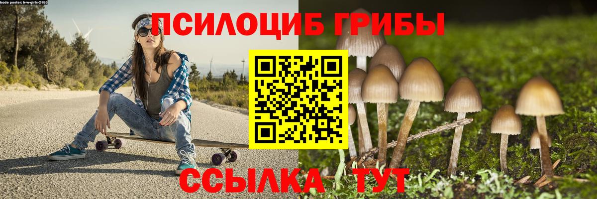 Псилоцибиновые грибы Cubensis  закладки  Каспийск  Вход с VPN 