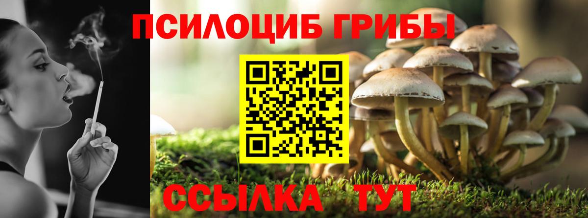 Псилоцибиновые грибы мицелий Каспийск